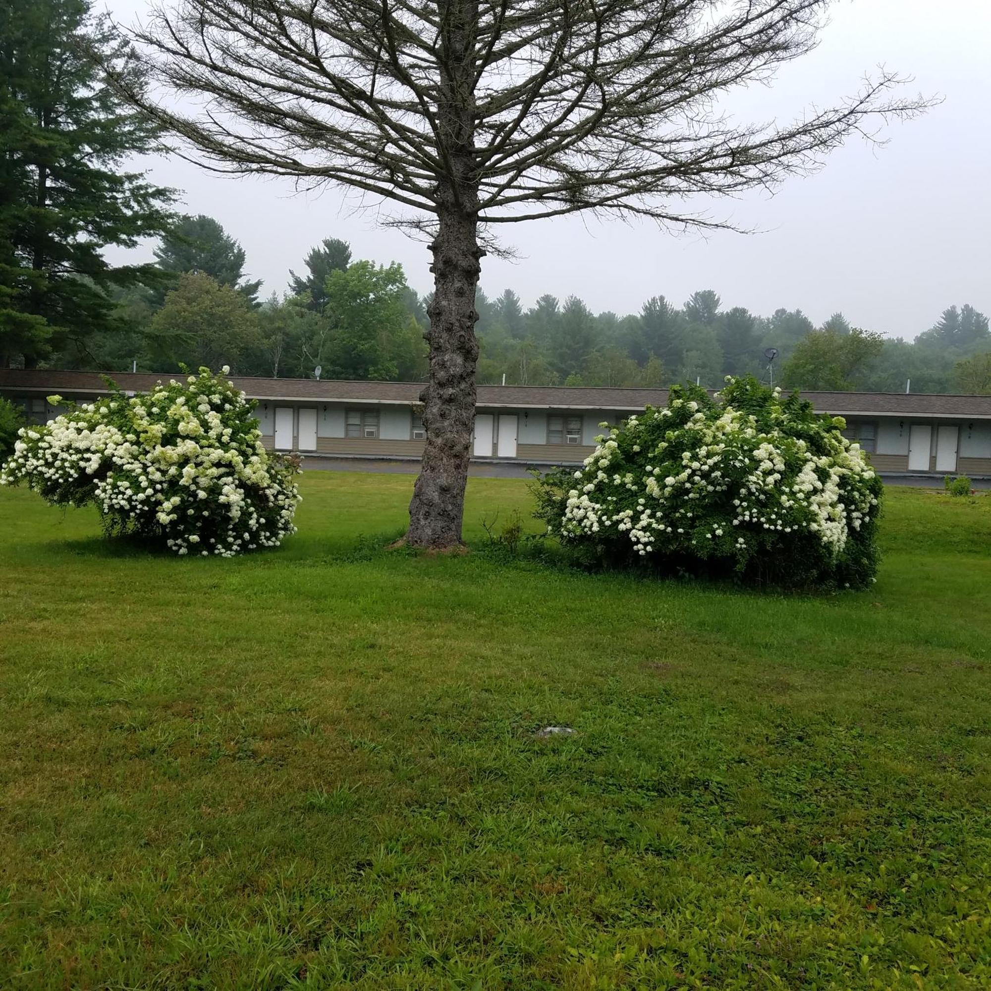 The Becket Motel 外观 照片